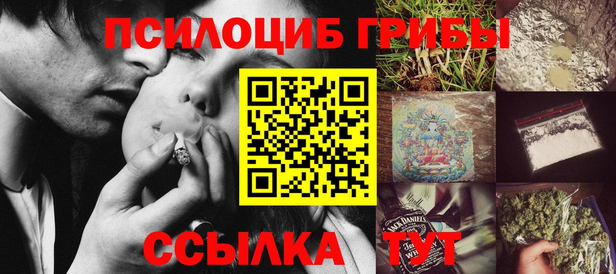 Галлюциногенные грибы Psilocybe Белогорск